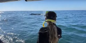 Φάλαινα 30 τόνων πετάει στον αέρα κολυμβητή στην Αυστραλία