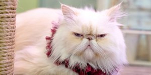 Φωτογραφία: Shutterstock