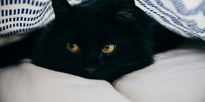 Ατυχα ζώδια του Οκτωβρίου, Φωτογραφία: Unsplash