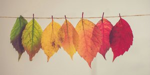Τυχερά ζώδια του Οκτωβρίου/ φωτογραφία: Unsplash