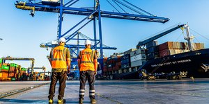 DPort Services