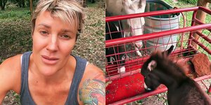 Η ιδιοκτήτρια της φάρμας ενημερώνει για τις ζημιές που άφησε ο κυκλώνας Μίλτον στην περιουσία της