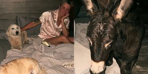 Έκαναν το σπίτι τους «Κιβωτό» για να κρατήσουν ασφαλή τα ζώα τους από τον κυκλώνα Μίλτον στη Φλόριντα