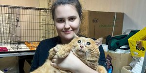 Πέθανε η πιο παχουλή γάτα του κόσμου