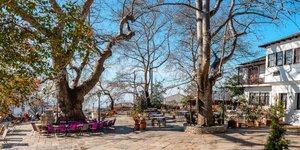 καφε πλατανια