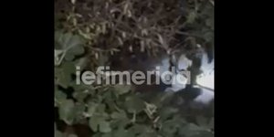Καταδίωξη ληστών από τα Βριλήσσια στον Γέρακα