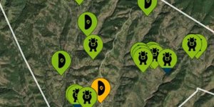 Βόσκει τις αγελάδες με GPS