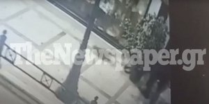 Κτηνωδία στον Βόλο με θύμα για γάτα
