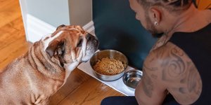 Ο Lewis Hamilton με τον σκύλο του Roscoe
