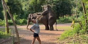 Η Μαρία Ολυμπία πόζαρε μπροστά από δύο ελέφαντες που κάνουν σεξ 