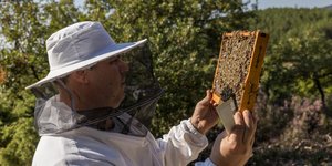 Mέλι Χαλκιδικής 