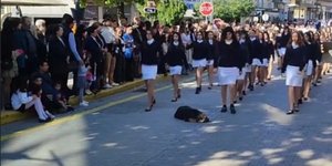 Αξιαγάπητος σκυλάκος κοιμάται ανενόχλητος στη μέση του δρόμου ενώ περνά η παρέλαση
