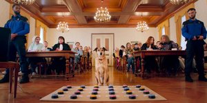 σκυλος στο δικαστηριο 