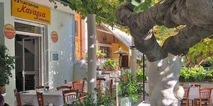 Τα Κανάρια/Φωτογραφία: Ιnstagram Voltastinpoli