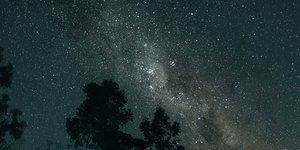 Ζώδια, Φωτογραφία: Unsplash