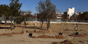 Άρχισε η φύτευση 7.000 δέντρων στο Μητροπολιτικό Πάρκο Παύλου Μελά