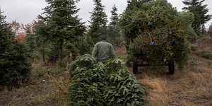 ελατα σε φορτηγο