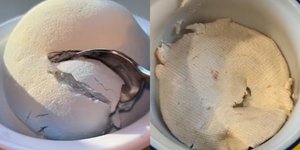 Το νέο hot trend του TikTok 