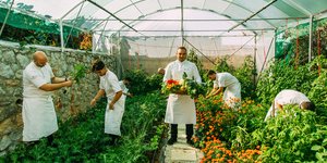 Άνδρες φάρμα μποστάνι λαχανικά 