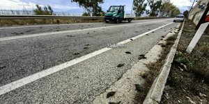 Τα νεκρά πουλιά σε δρόμο στην Αργολίδα