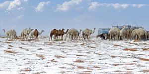 Χιόνισε στην έρημο της Σαουδικής Αραβίας