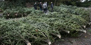 Στα πόστα τους απο σήμερα οι ελατοπαραγωγοί