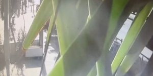 Βίντεο η στιγμή της έκρηξης στους Αμπελόκηπους