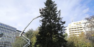 To χριστουγεννιάτικο δέντρο στο Σύνταγμα