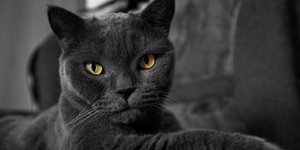 Φωτογραφία: Shutterstock