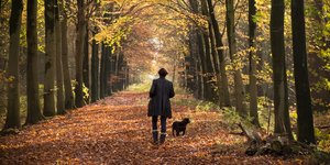 Φωτογραφία: Unsplash