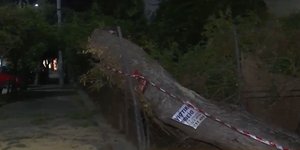 Δένδρο καταπλάκωσε ΙΧ στην Νέα Σμύρνη λόγω της κακοκαιρίας Elena