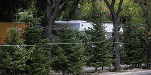 ελατα πεζοδρομιο