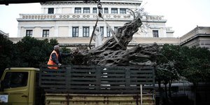 ελια σε φορτηγό