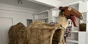 Ετοιμασίες για το έθιμο της Καμήλας