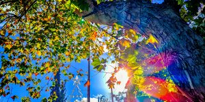 To στολισμένο κέντρο της Αθήνας