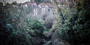 Το χωριό Λαύκος στο Πήλιο