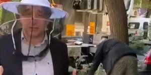 μελίσσι