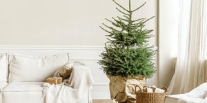 Φωτογραφία: Shutterstock