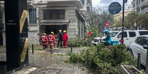 Πεσμένα δεντρα στη Θεσσαλονικη