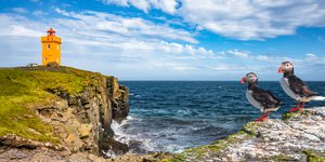 Puffins κάθονται μπροστά από έναν πορτοκαλί φάρο στην Ισλανδία