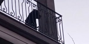 Έγκλημα στην Εύβοια: Η στιγμή που βρήκαν μετά από 3 μέρες το σκυλάκι στο σπίτι του φονικού