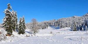χιονια περτουλι