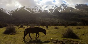 Χιόνια στο βουνό