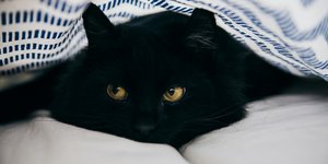 Ατυχία/Φωτογραφία Unsplash