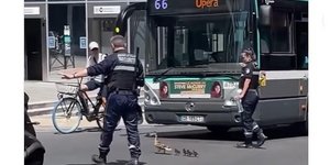 H απίστευτη κίνηση αστυνομικού σε δρόμο της Γαλλίας 