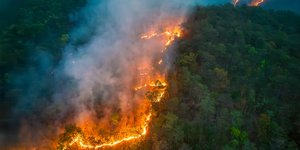 Φωτιά Βραζιλία 