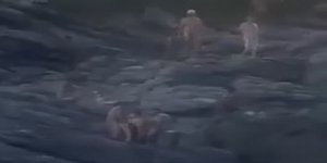 Στιγμιότυπο από το βίντεο που έγινε viral στη Βραζιλία