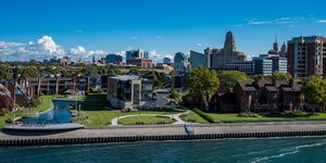 Μπάφαλο/Φωτογραφία: Shutterstock