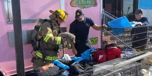 Ελάχιστα ζώα κατάφεραν να κρατηθούν στη ζωή