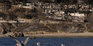 Λος Αντζελες καταστροφες 